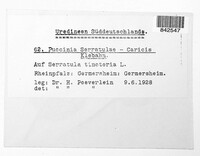 Image Associated With the Occurence